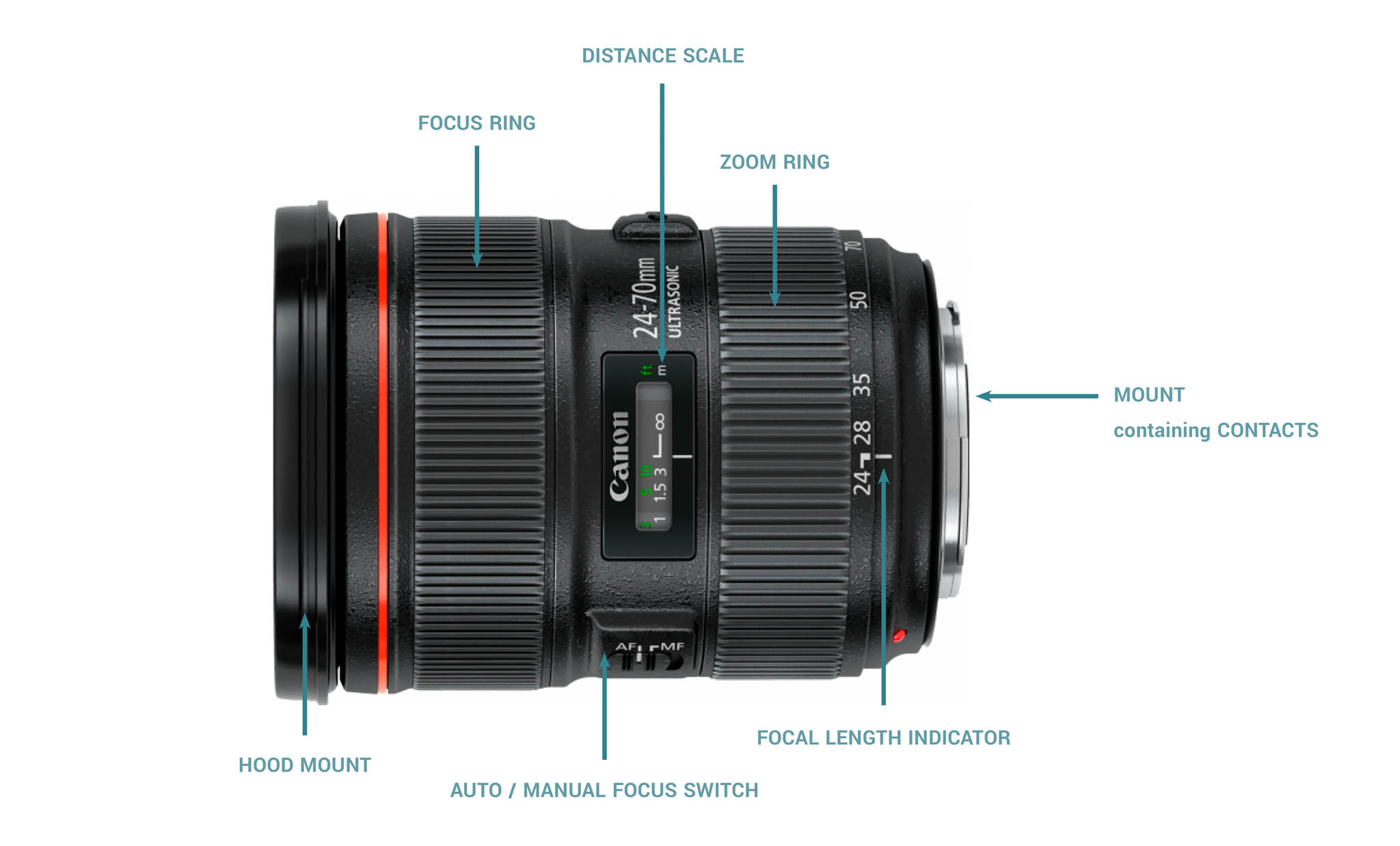 Choosing your first lens photographic example
